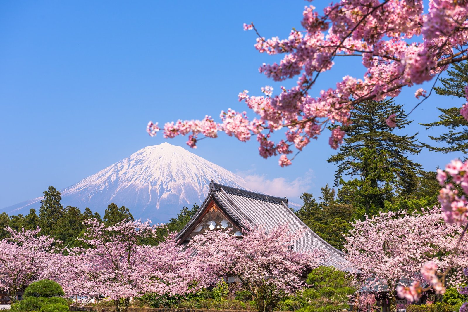 Imagination escapes travel membership club