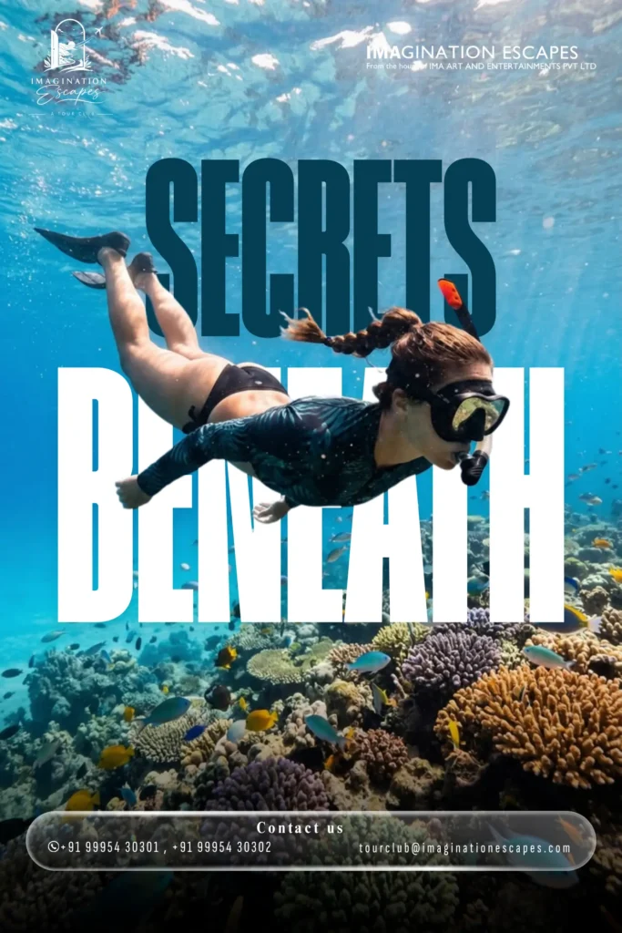 Imagination Escape Activity 1